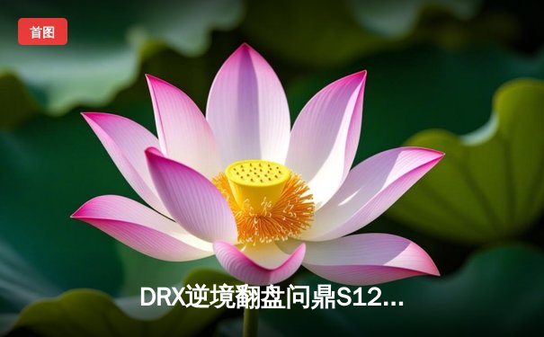 DRX逆境翻盘问鼎S12，Deft老兵不死铸就传奇