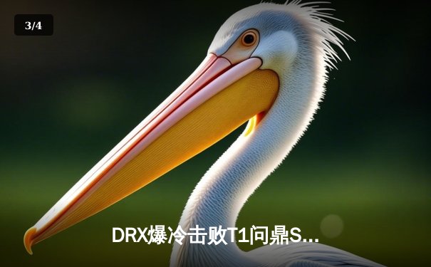 DRX爆冷击败T1问鼎S12，Deft老兵不死铸就传奇 - 3